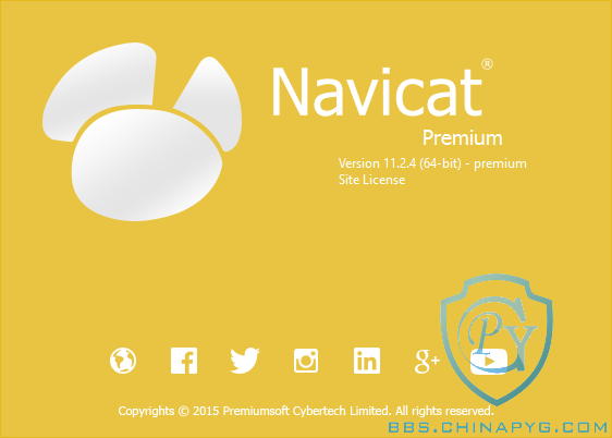 navicat.png