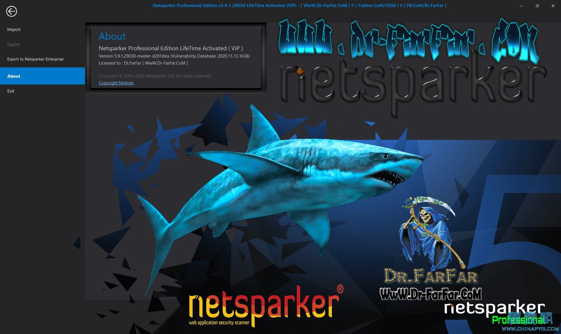 Netsparker Professional Edition.jpg